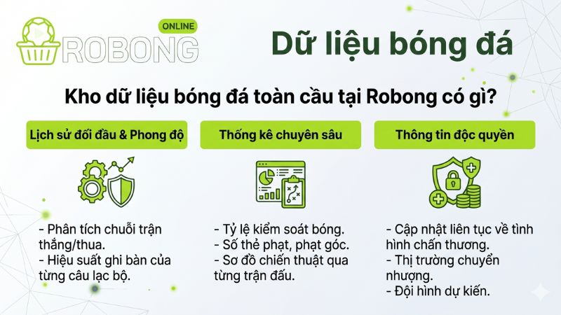 Kho dữ liệu bóng đá toàn cầu tại Robong có gì? Kho dữ liệu bóng đá toàn cầu tại Robong có gì?